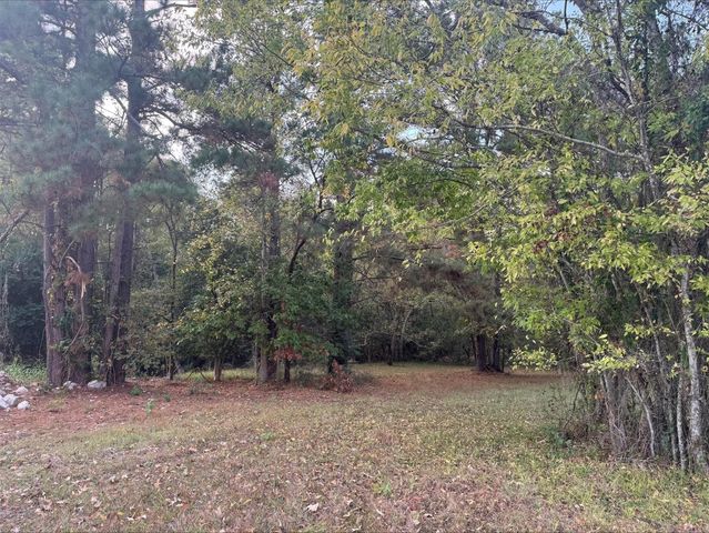 0 Silver Hickory Drive, Coldspring, TX 77331