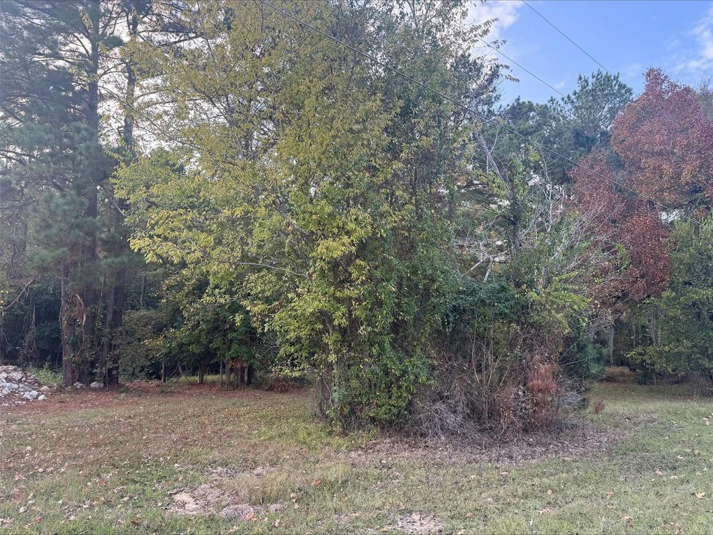 0 Silver Hickory Drive, Coldspring, TX 77331