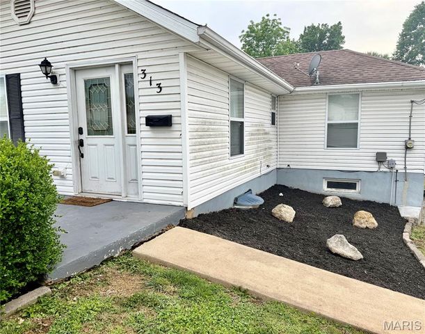 313 S Mill Street, Festus, MO 63028