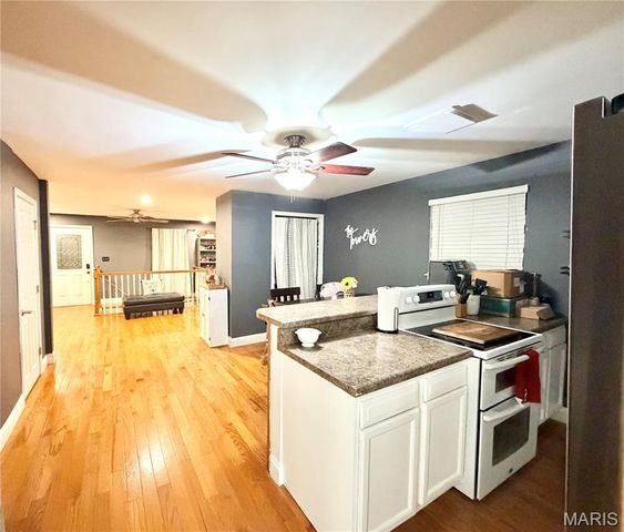 313 S Mill Street, Festus, MO 63028