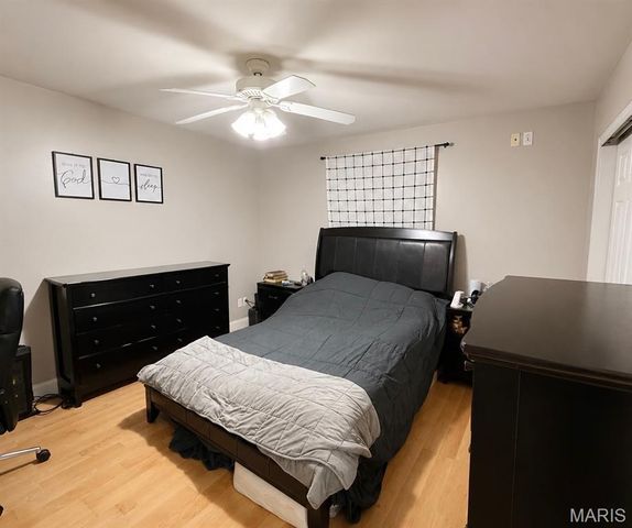313 S Mill Street, Festus, MO 63028