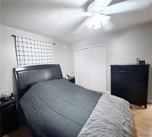 313 S Mill Street, Festus, MO 63028