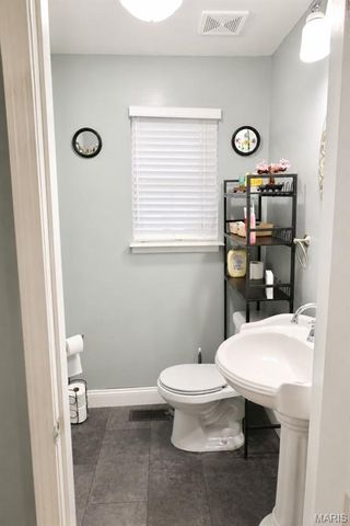 313 S Mill Street, Festus, MO 63028