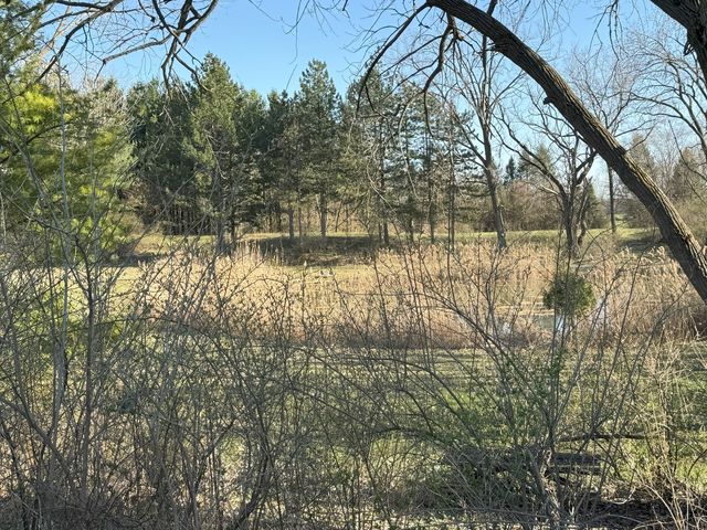 17N753 Widmayer Road, Hampshire, IL 60140