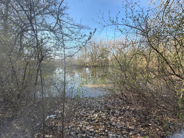 17N753 Widmayer Road, Hampshire, IL 60140