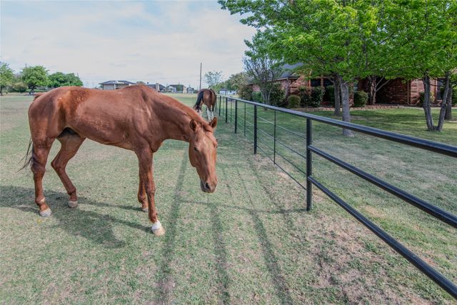 113 Brentwood Lane, Haslet, TX 76052