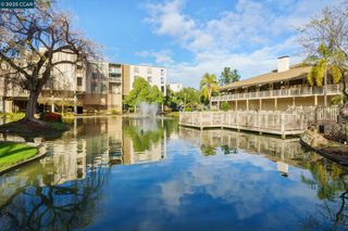 300 N Civic Dr 303, Walnut Creek, CA 94596