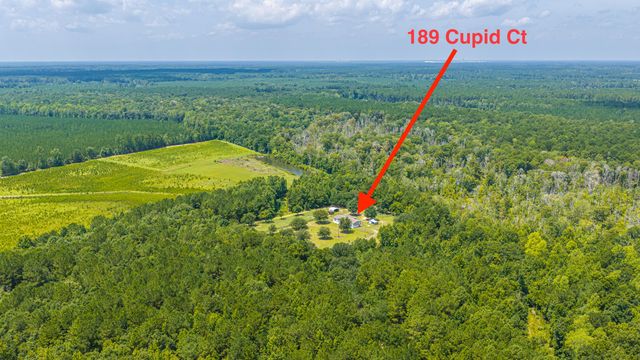 189 Cupid Court, Eutawville, SC 29048
