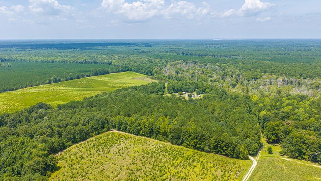 189 Cupid Court, Eutawville, SC 29048