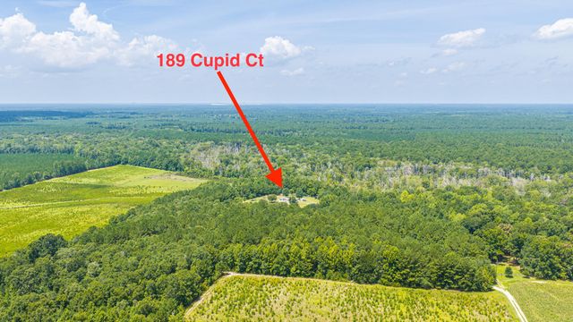 189 Cupid Court, Eutawville, SC 29048