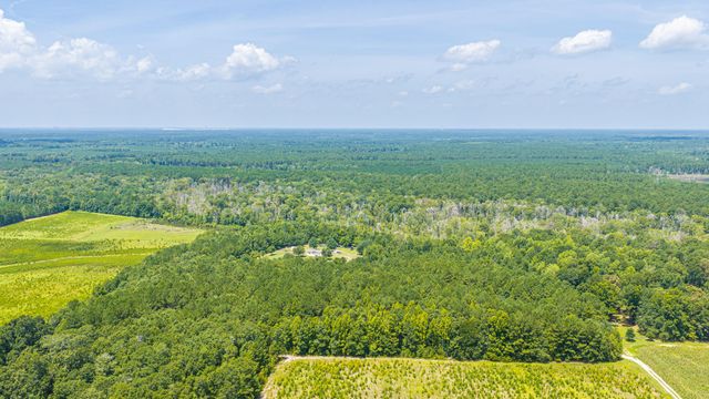 189 Cupid Court, Eutawville, SC 29048