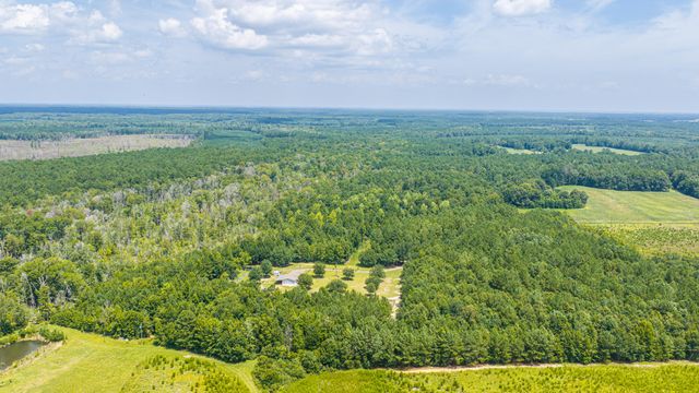 189 Cupid Court, Eutawville, SC 29048