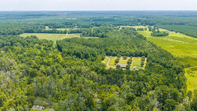 189 Cupid Court, Eutawville, SC 29048