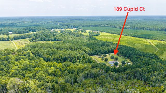 189 Cupid Court, Eutawville, SC 29048