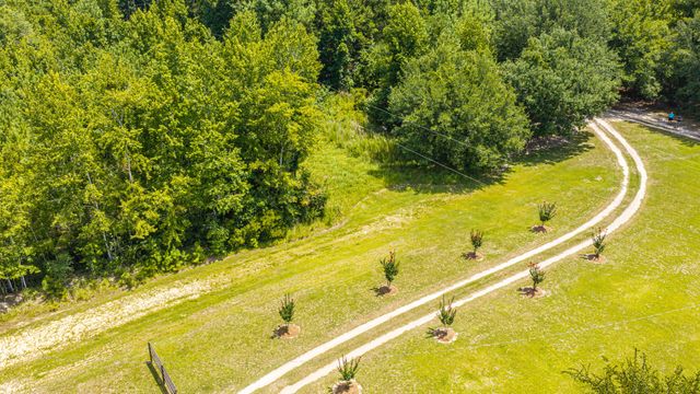 189 Cupid Court, Eutawville, SC 29048