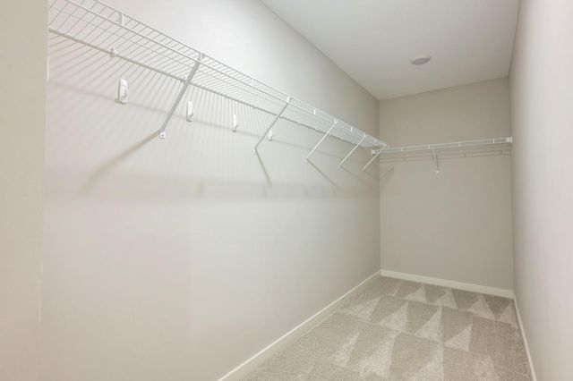 4819 Island Park Drive, Woodbury, MN 55129