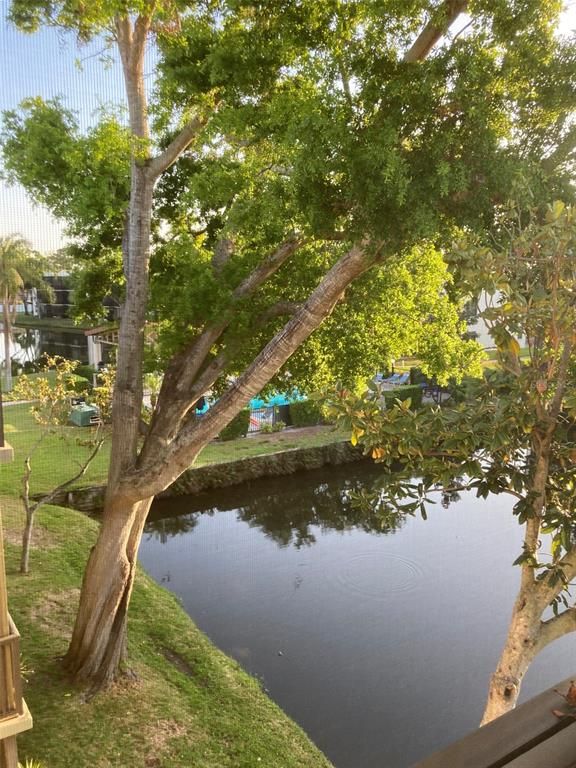 7951 58TH AVENUE N 308, St Petersburg, FL 33709