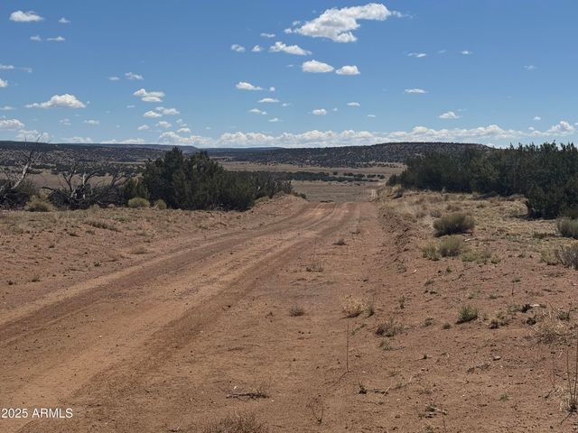 Lot 753 Woodland Valley Ranch -- 753, St Johns, AZ 85936