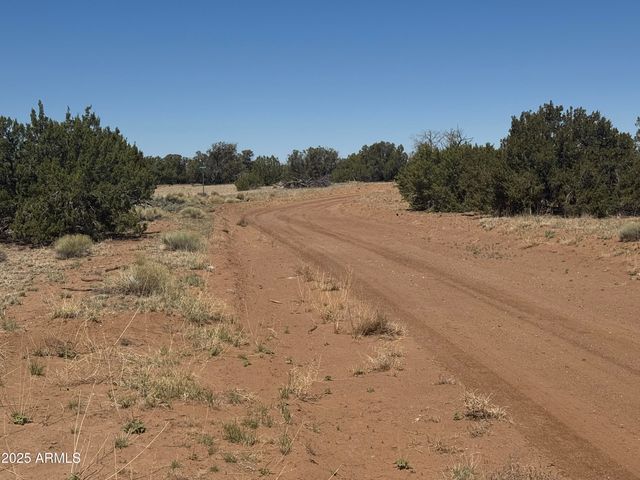 Lot 753 Woodland Valley Ranch -- 753, St Johns, AZ 85936