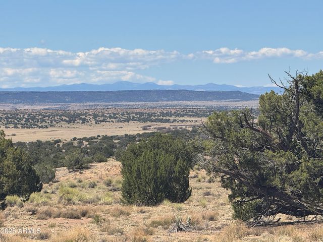 Lot 753 Woodland Valley Ranch -- 753, St Johns, AZ 85936