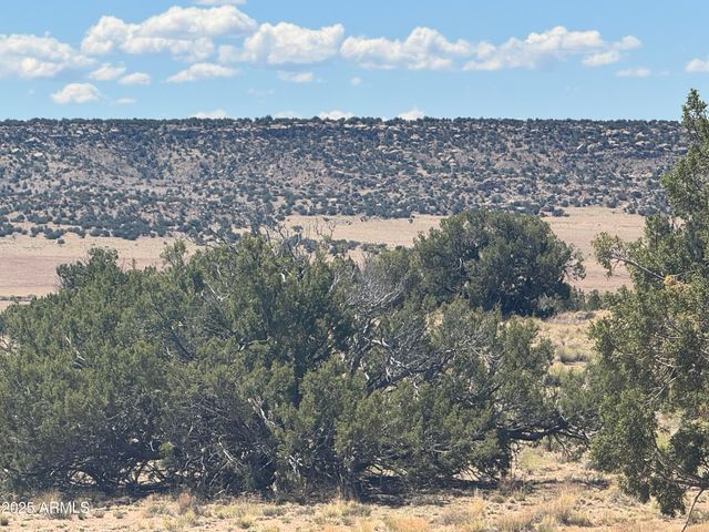 Lot 753 Woodland Valley Ranch -- 753, St Johns, AZ 85936