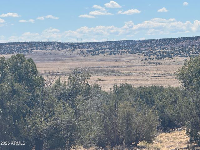 Lot 753 Woodland Valley Ranch -- 753, St Johns, AZ 85936