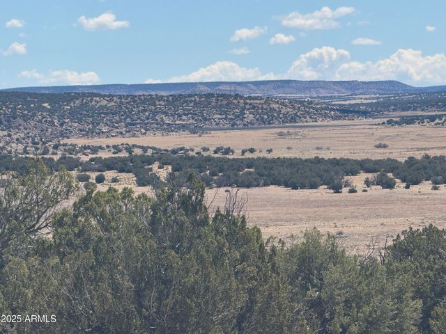 Lot 753 Woodland Valley Ranch -- 753, St Johns, AZ 85936