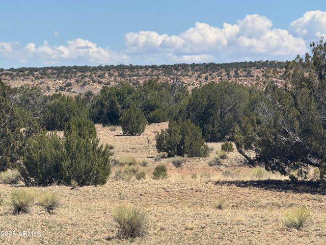 Lot 753 Woodland Valley Ranch -- 753, St Johns, AZ 85936