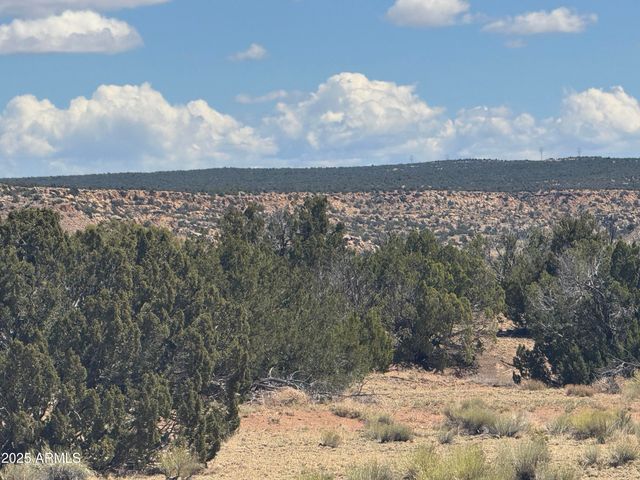 Lot 753 Woodland Valley Ranch -- 753, St Johns, AZ 85936