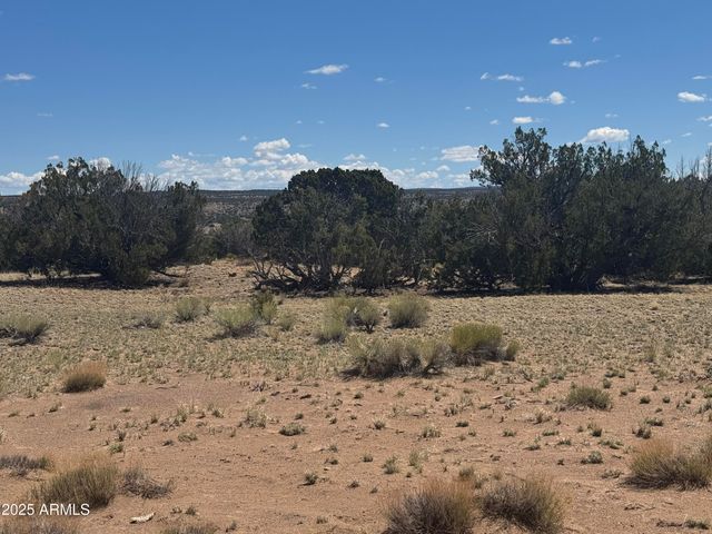 Lot 753 Woodland Valley Ranch -- 753, St Johns, AZ 85936