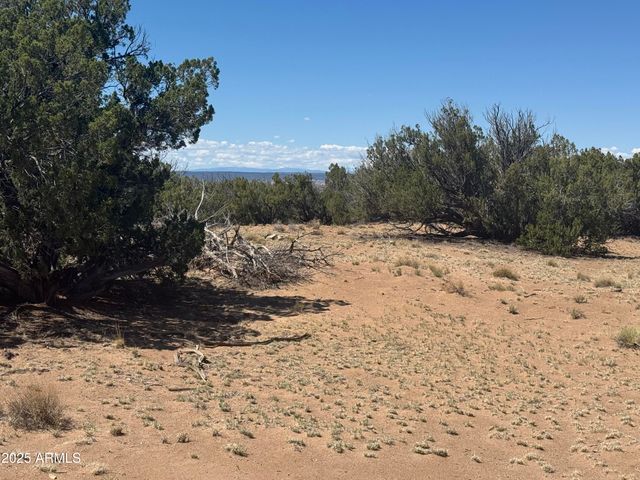 Lot 753 Woodland Valley Ranch -- 753, St Johns, AZ 85936