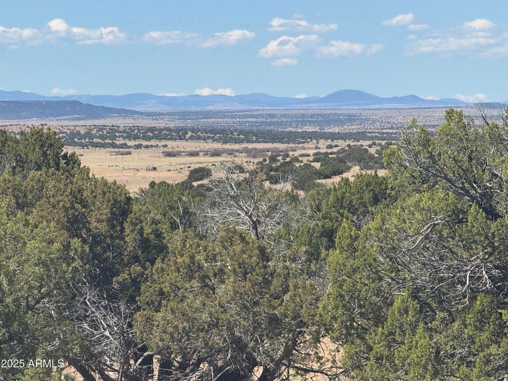 Lot 753 Woodland Valley Ranch -- 753, St Johns, AZ 85936