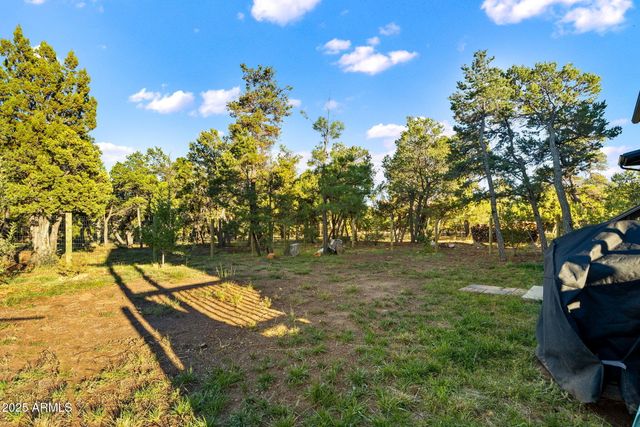 1514 SHADE TREE Drive, Heber, AZ 85928