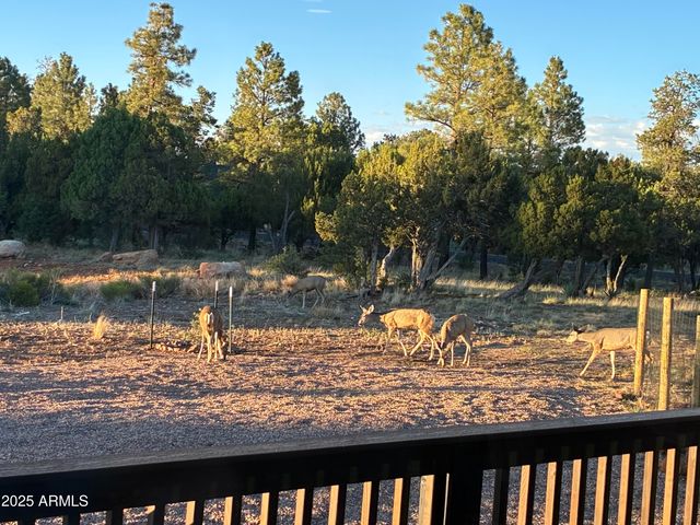 1514 SHADE TREE Drive, Heber, AZ 85928