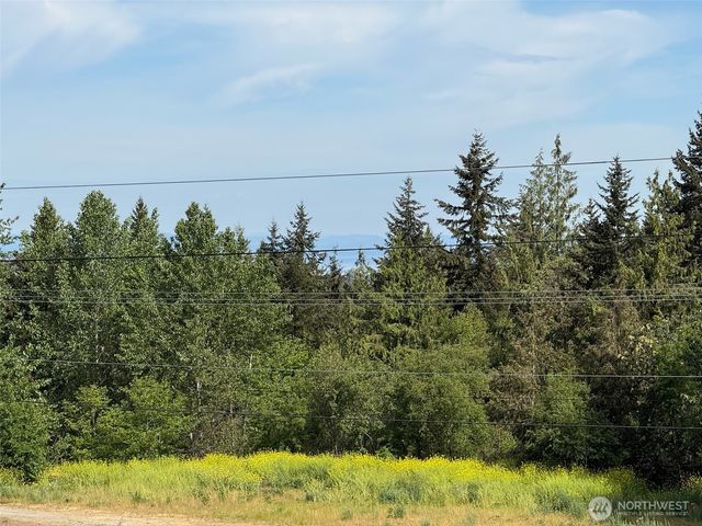 46 Cliff Robinson Lane, Sequim, WA 98382
