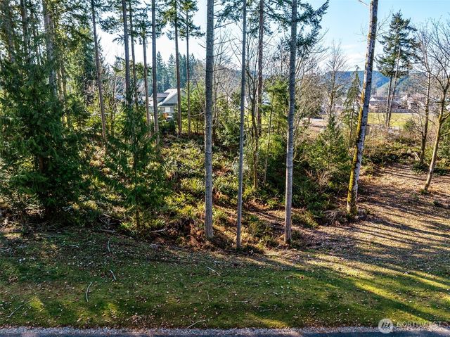 360 Carbon Hill Drive, Carbonado, WA 98323