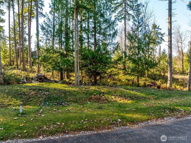 360 Carbon Hill Drive, Carbonado, WA 98323