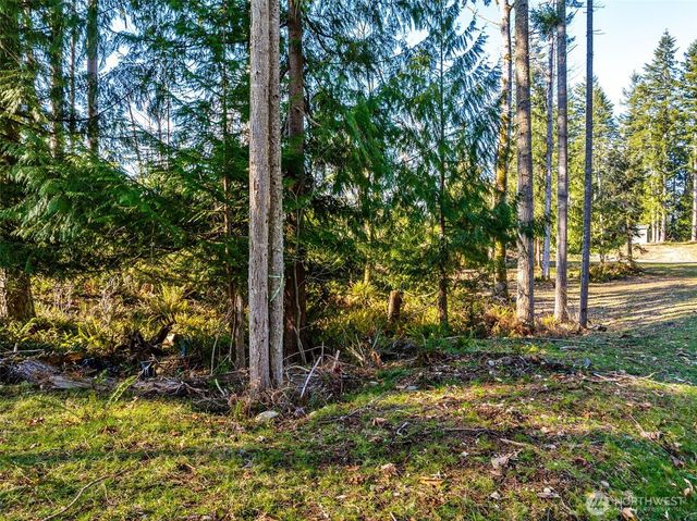 360 Carbon Hill Drive, Carbonado, WA 98323