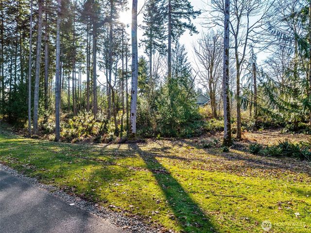 360 Carbon Hill Drive, Carbonado, WA 98323