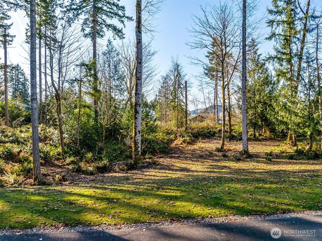 360 Carbon Hill Drive, Carbonado, WA 98323