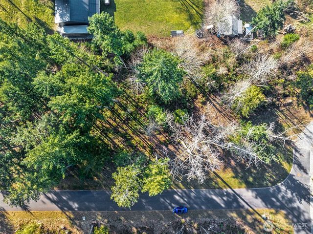 360 Carbon Hill Drive, Carbonado, WA 98323