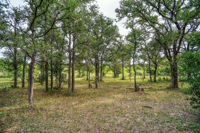 339 Elm Forest LOOP, Cedar Creek, TX 78612