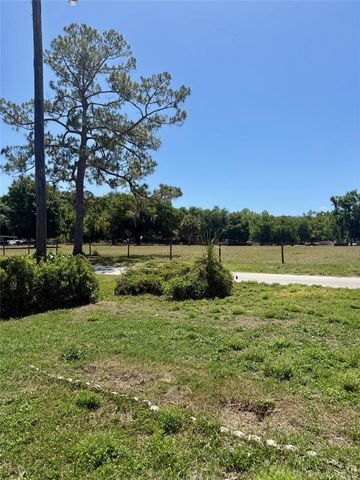 13519 WOODLAND DRIVE, Astatula, FL 34705