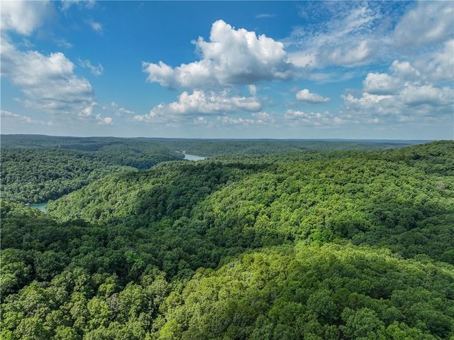 1175 Cr-152, Eureka Springs, AR 72632