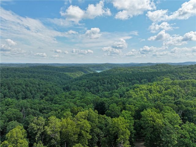 1175 Cr-152, Eureka Springs, AR 72632