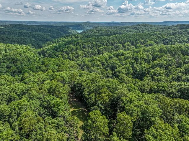 1175 Cr-152, Eureka Springs, AR 72632