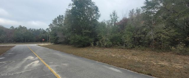Lot 29 Deer Court, Chipley, FL 32428