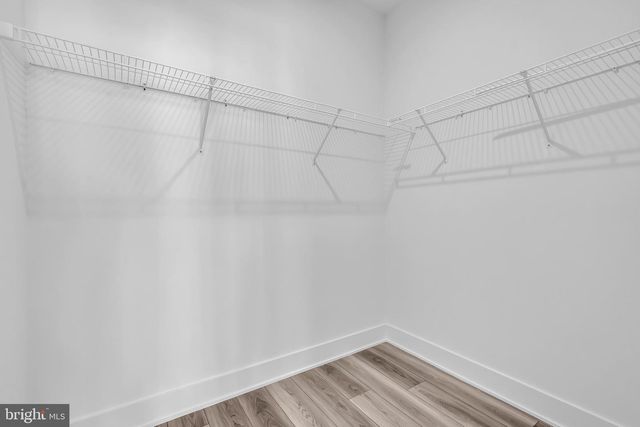 8102 DONATELLO DR, Princeton, NJ 08540