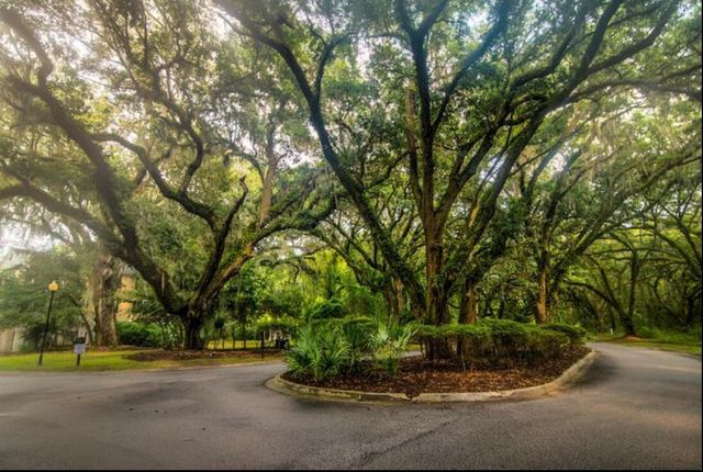 60 Fenwick Hall Alley, Johns Island, SC 29455