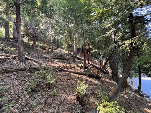 0 Lausanne, Crestline, CA 92325